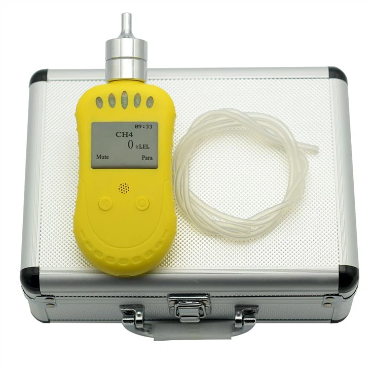 O3 Gas Detector Ozone With Inner Pump in Stock